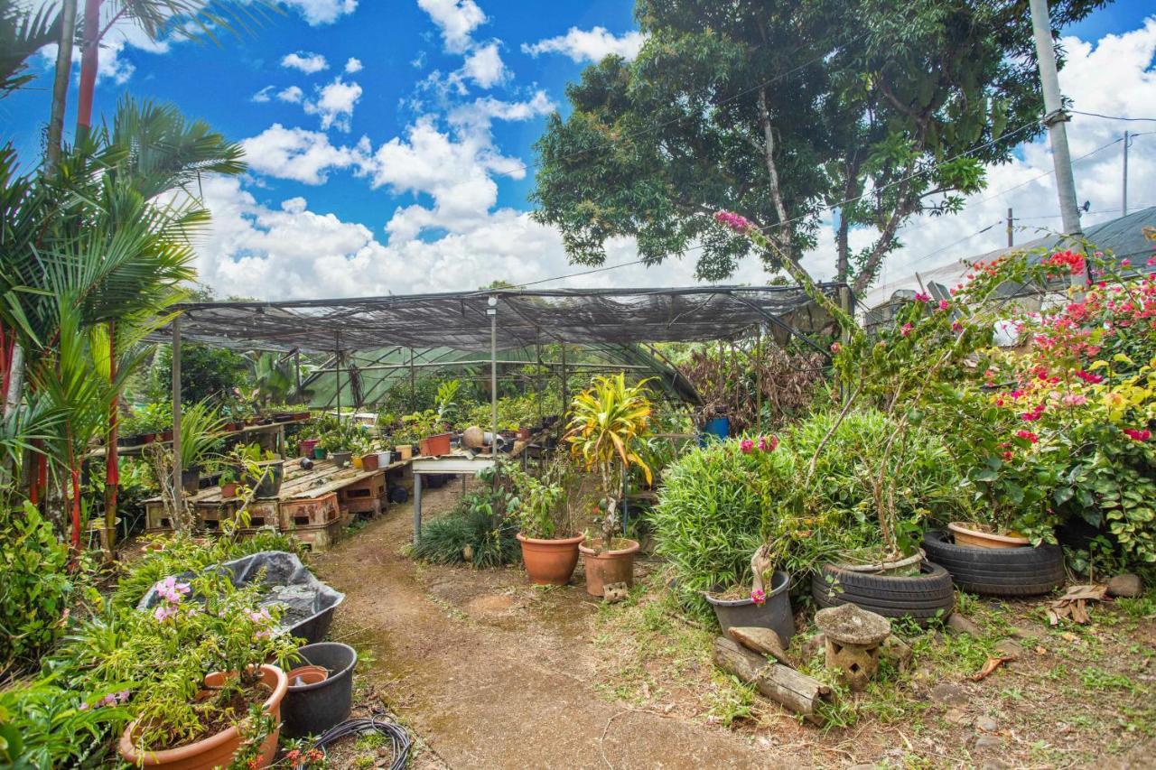 Village Pierre & Vacances Sainte Luce מראה חיצוני תמונה